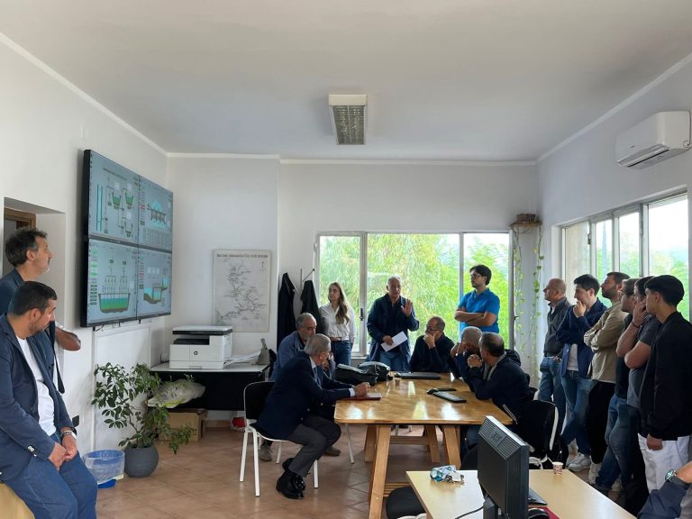 WhatsApp Image 2025-10-20 at 11.06.17 (1)